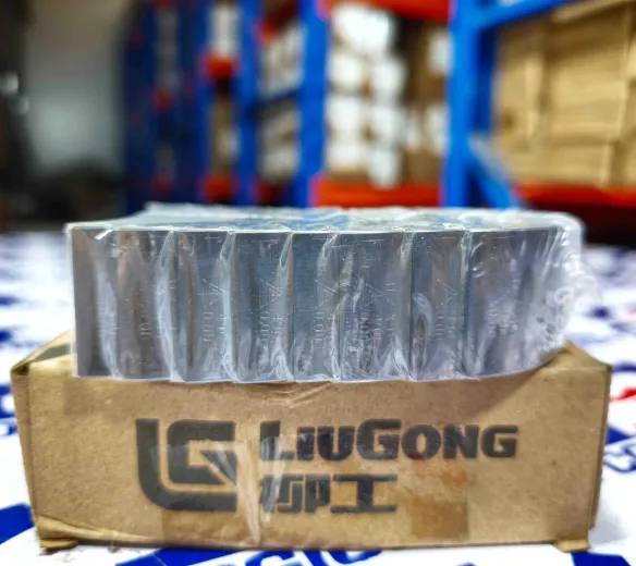 Bạc biên (miễn dên) xe nâng hàng chính hãng LiuGong mã SP134193