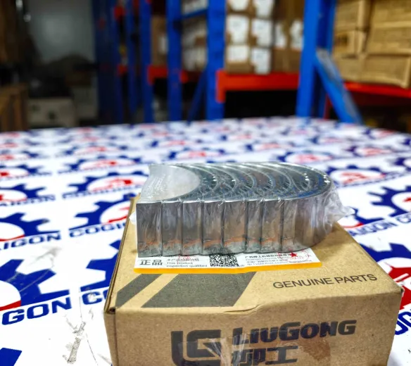 Bạc biên (miễn dên) xe nâng hàng chính hãng LiuGong mã SP134193